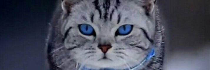 AlbertoAlborno4's profile banner image