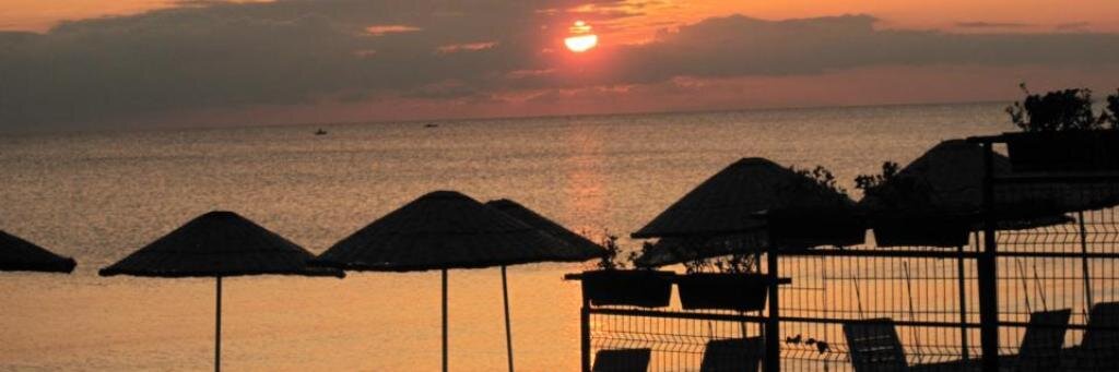 nilgun karaca banner