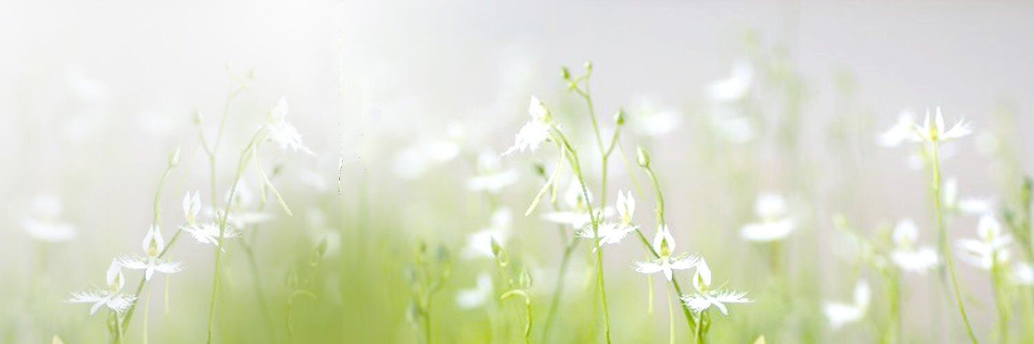 yui_book's profile banner image