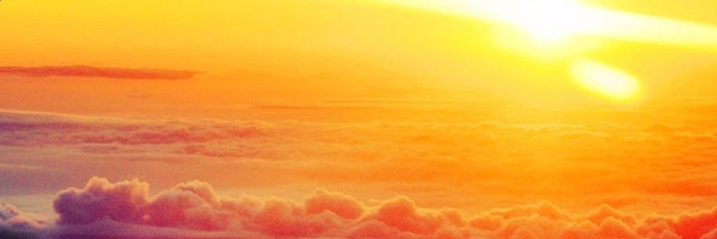 Gabina Hernandez ❤️ .fuel banner