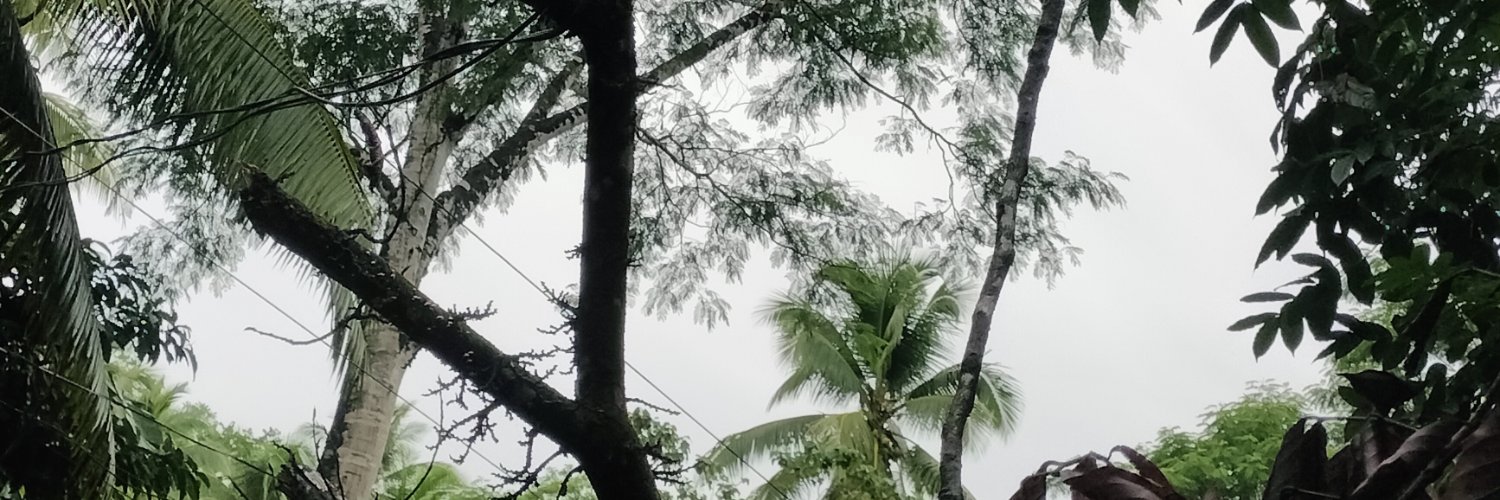 CatalinoInocen2's profile banner image