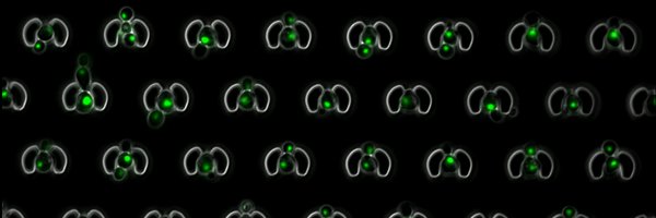 TheoAspert Profile Banner