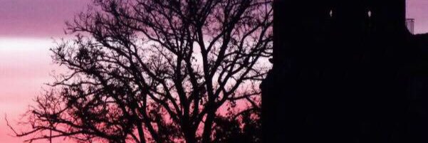 beguni's profile banner image