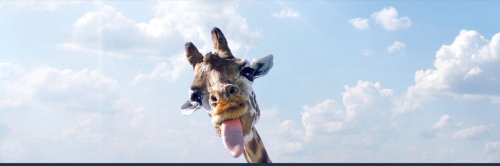 BausermanJustin's profile banner image