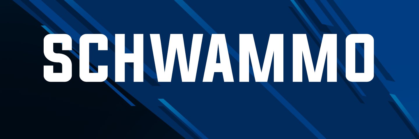 Schwammo's profile banner image