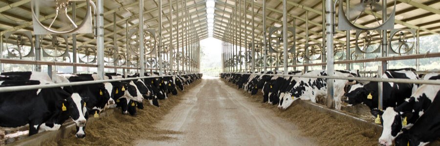 aumilkman's profile banner image