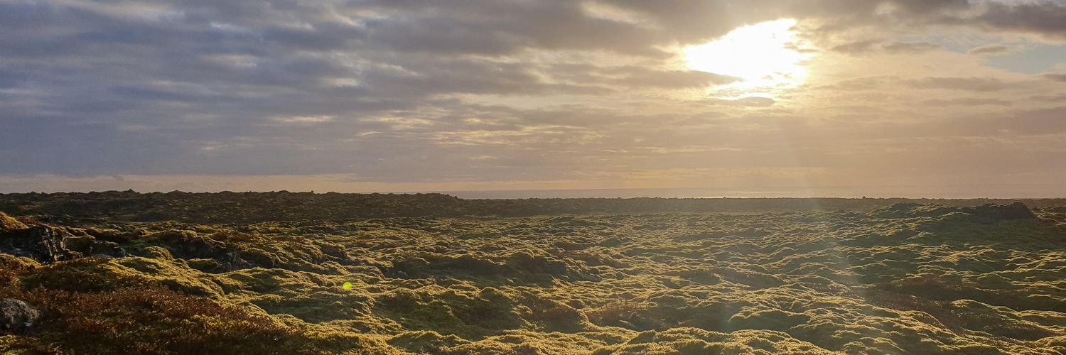 audurosp's profile banner image