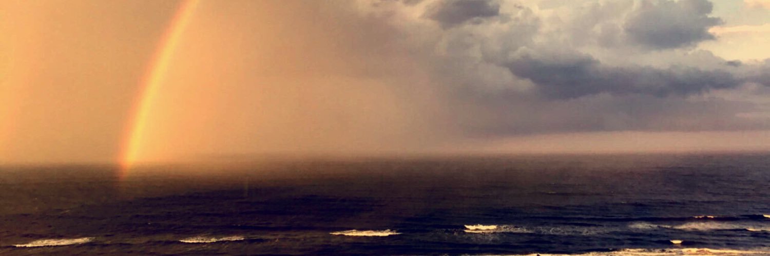 kaileeedawson's profile banner image
