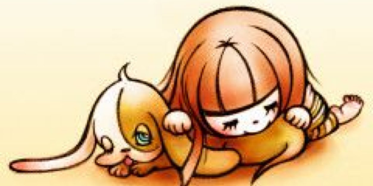 sakoaiko's profile banner image