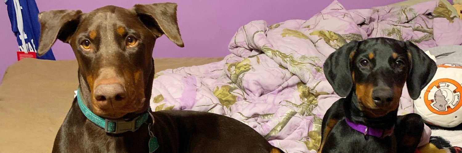 PRETTYMUCHLIL's profile banner image