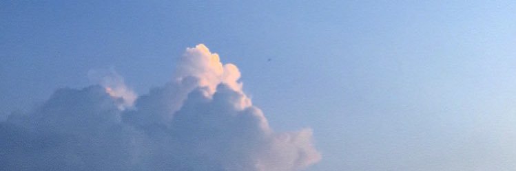 🥑✨ banner