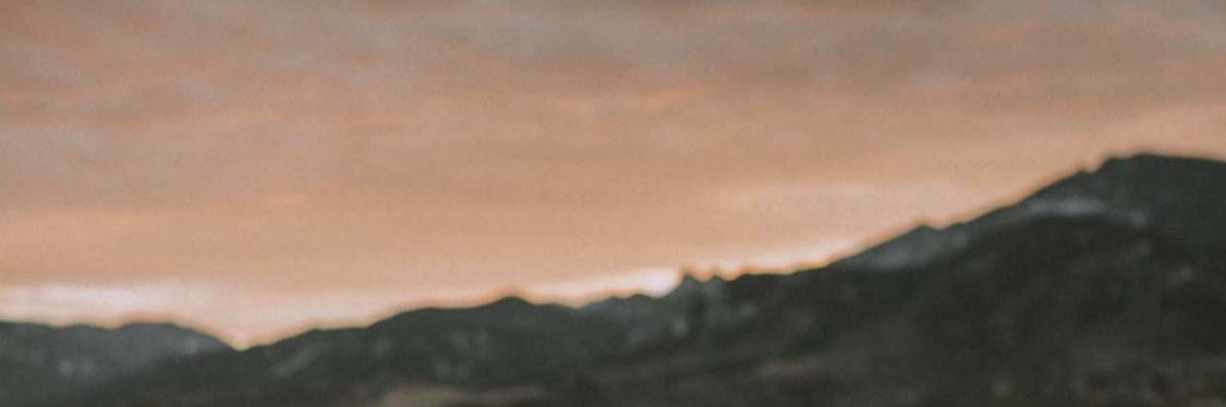Saffa_waleed's profile banner image