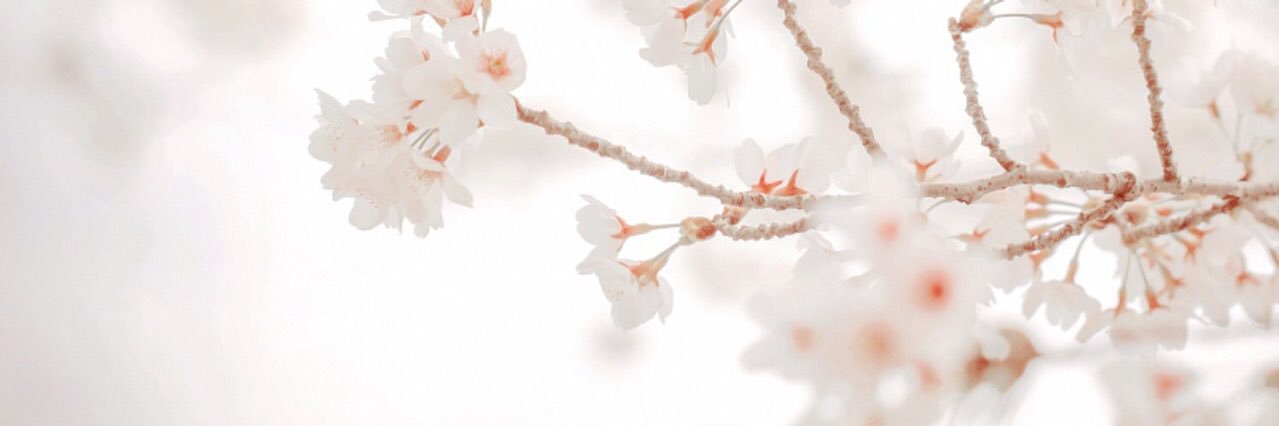 ciscake's profile banner image