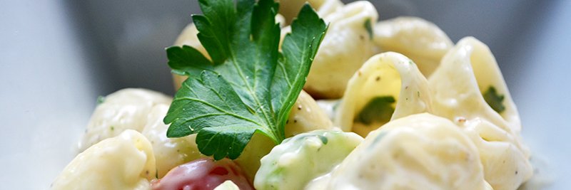 VegetarianSnob's profile banner image