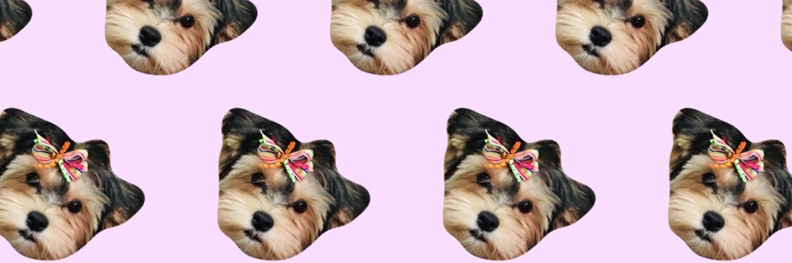 tylerfurqueron's profile banner image