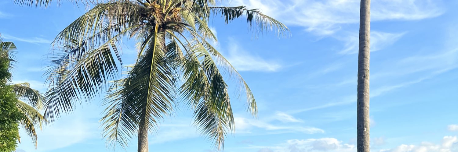 cacamisha_'s profile banner image