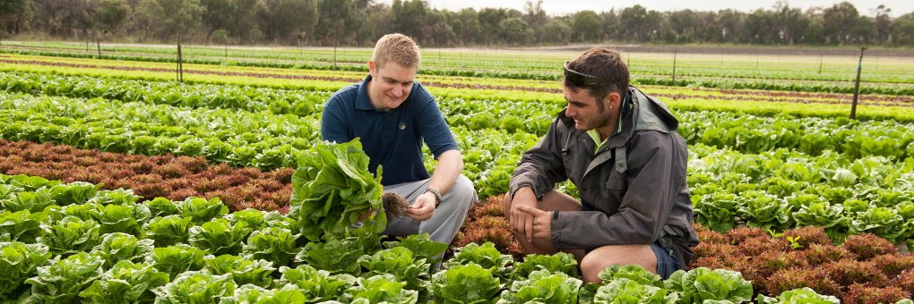 Department of Agriculture and Food WA banner