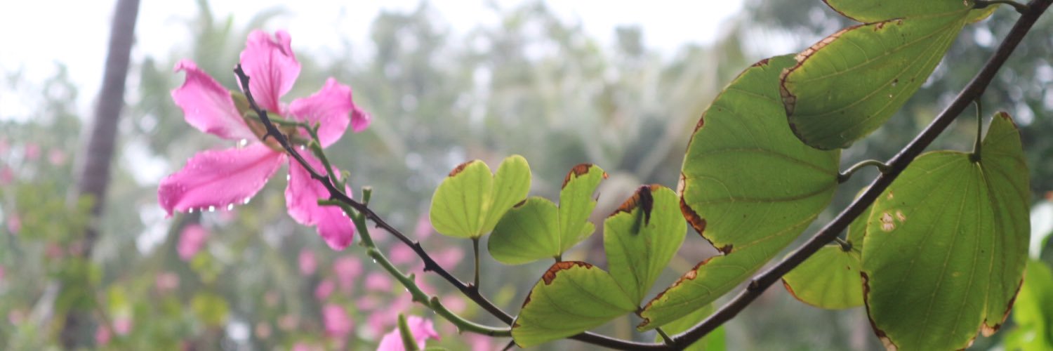 Leonard_Bima's profile banner image