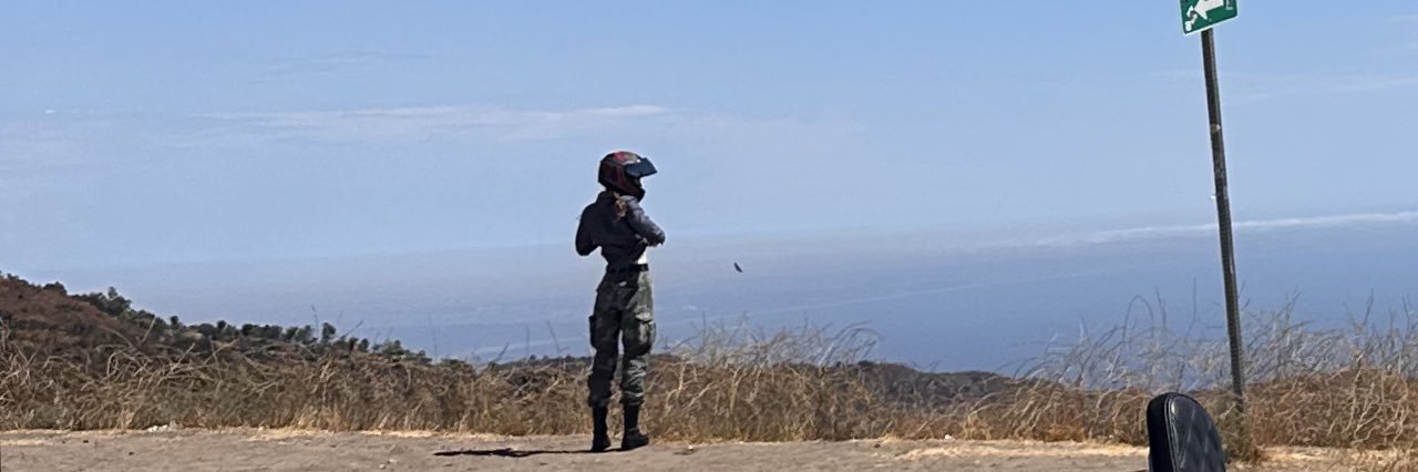 dirtydoglet's profile banner image