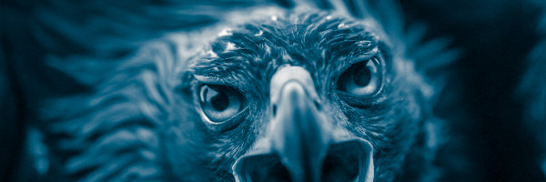 AlfonsoDzib's profile banner image