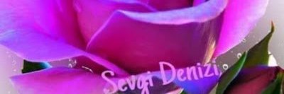 gavinwise banner