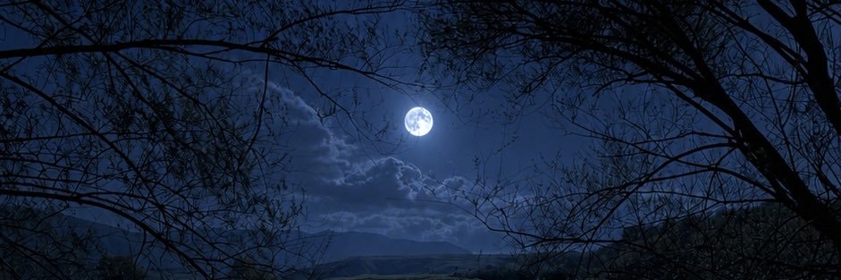 MhmutTuna's profile banner image