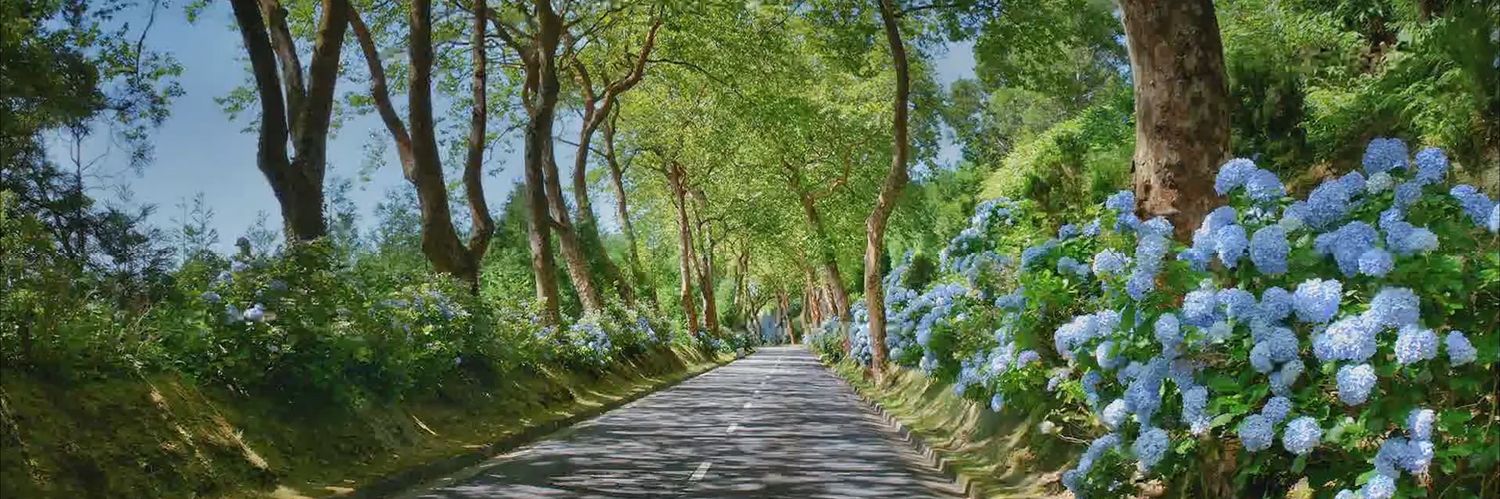 Discover the Azores™ banner