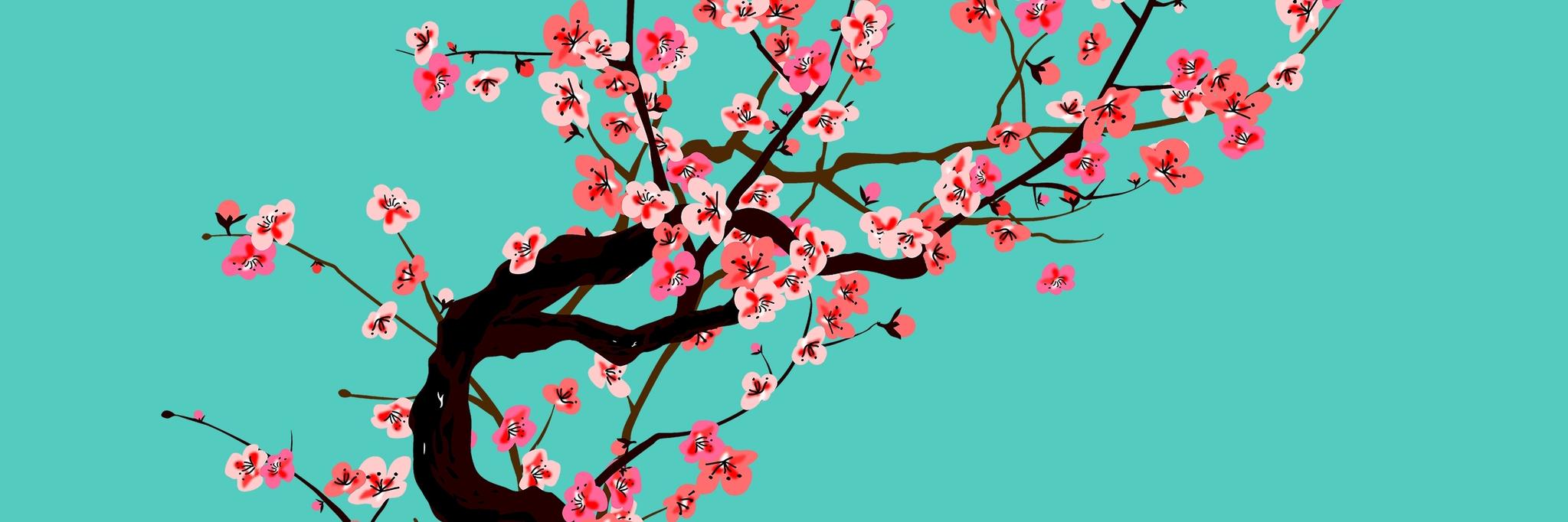 itsasdh's profile banner image
