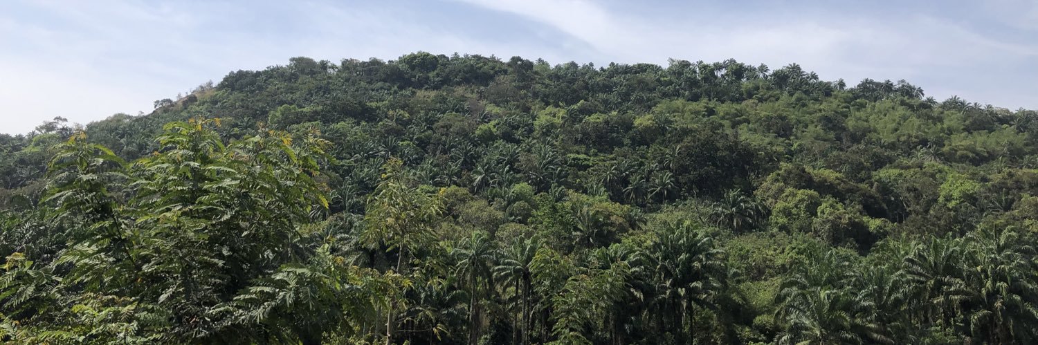 Ruffrasta official banner