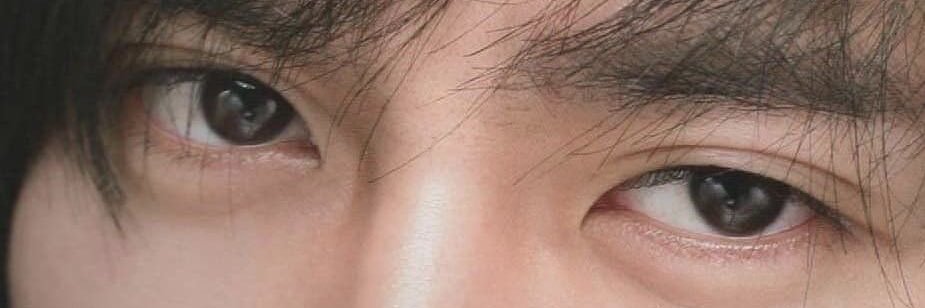 🤙🏻🦫 (⊙⊝⊜) banner