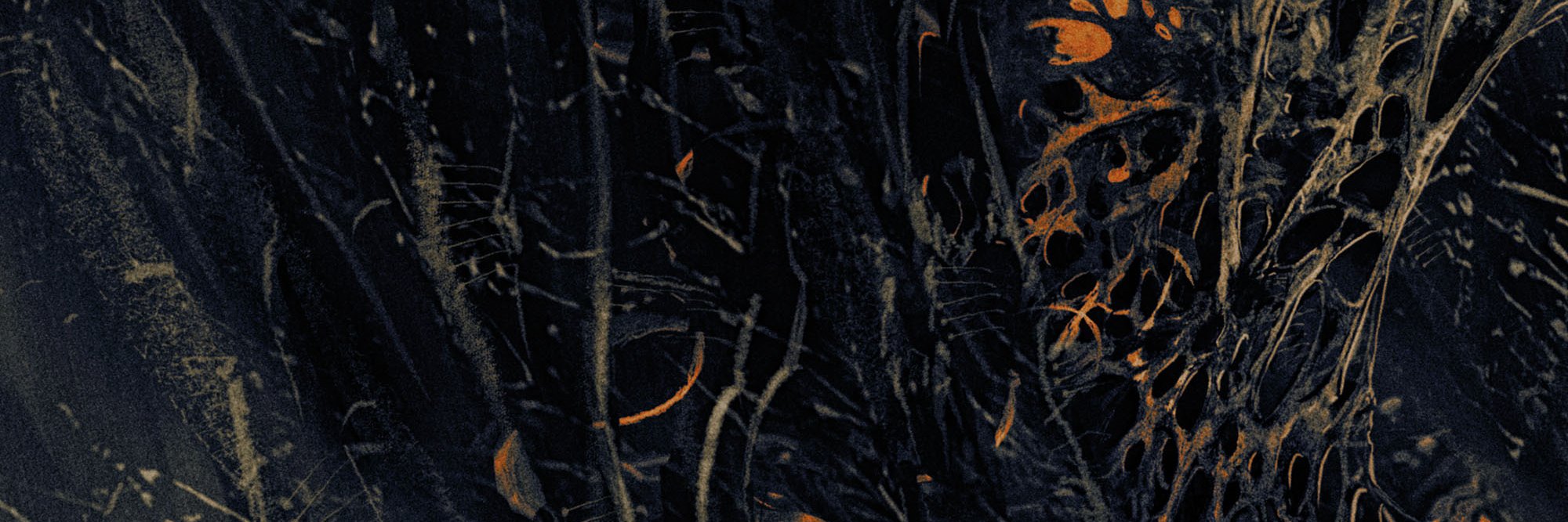 Twitter banner for @pestilence