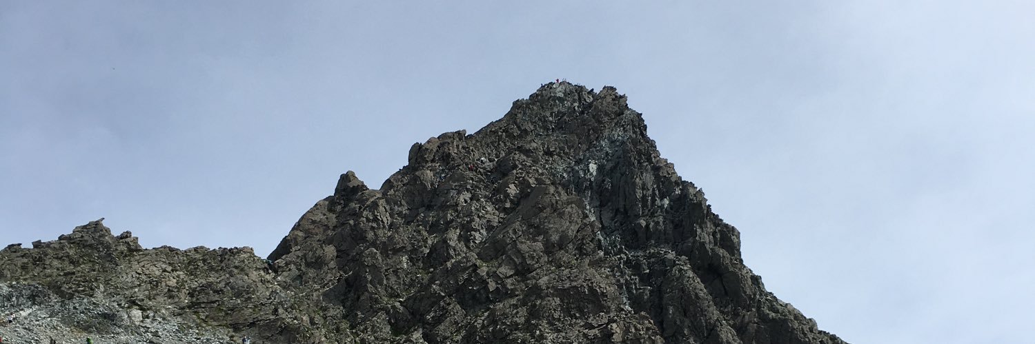 なお義 banner
