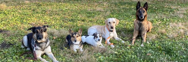 ocome_dogtalk Profile Banner