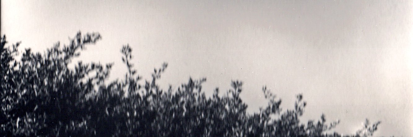 野乃子 banner