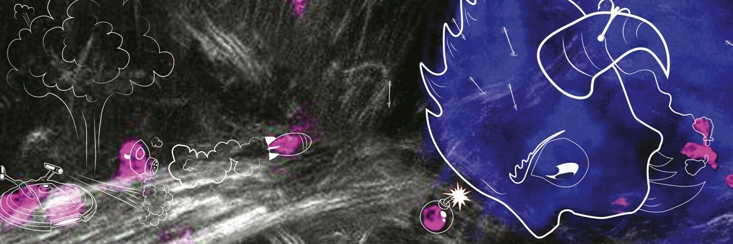 Stefania Di Blasio banner