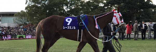 ReineMinorucats Profile Banner