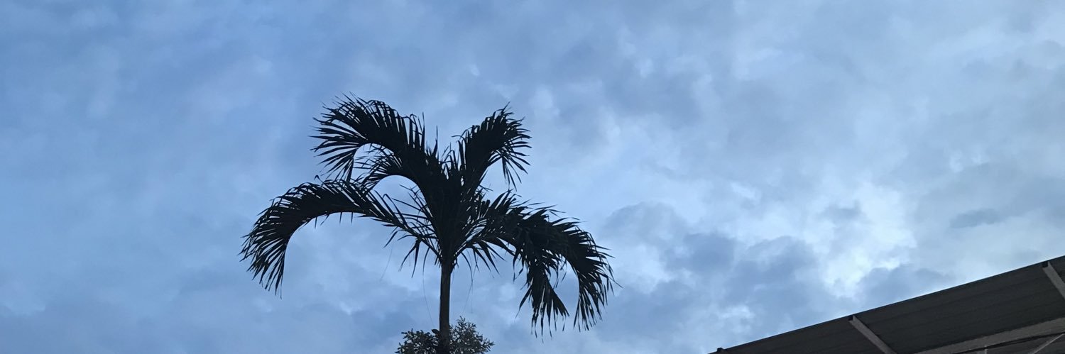 ovthinkin's profile banner image