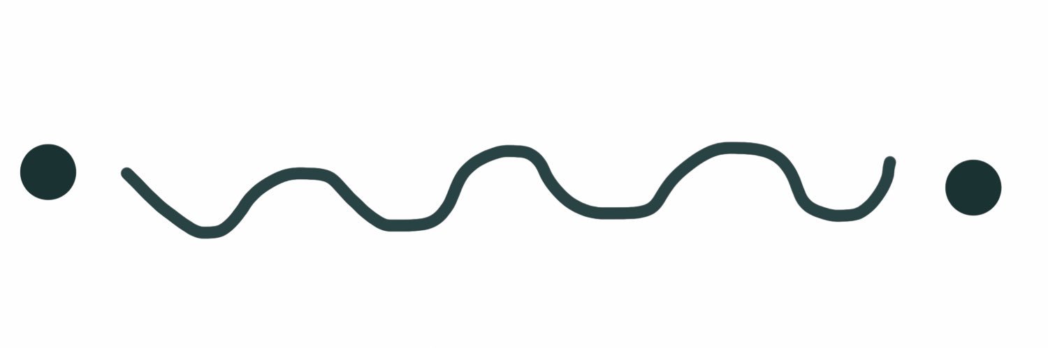 toruloloo banner