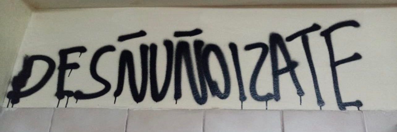 🇨🇱 Pinocat ✌ banner