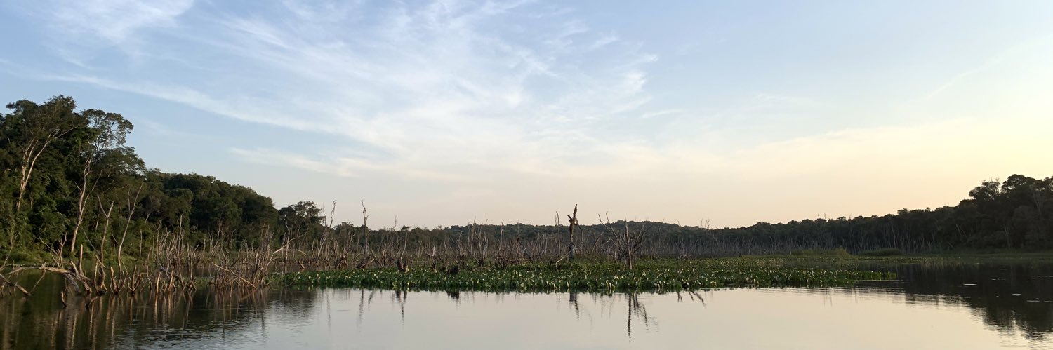 lichowski's profile banner image