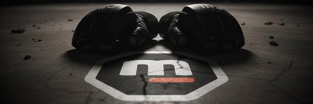 Thomas Chauveau ᵍᵐ banner