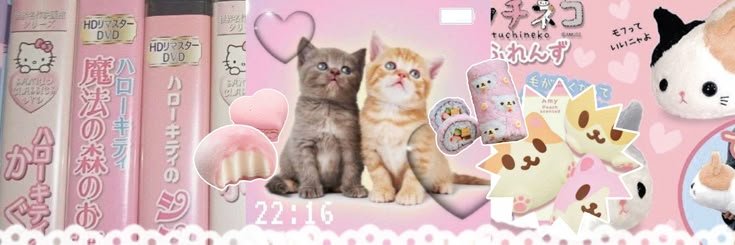 ʚଓ banner