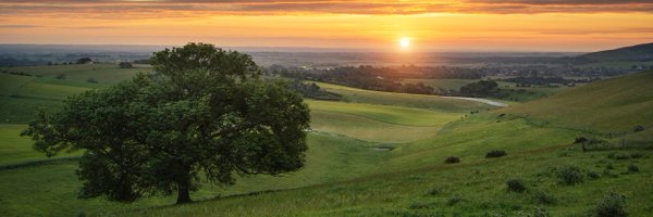 Tom Walpo Profile Banner