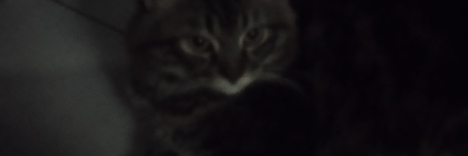 hnimsrh_'s profile banner image