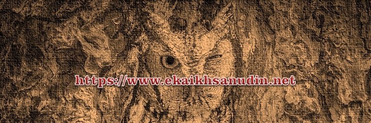 Ninjitsu008's profile banner image