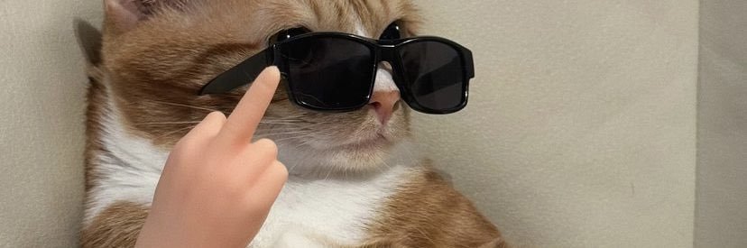 RampageRoxy's profile banner image