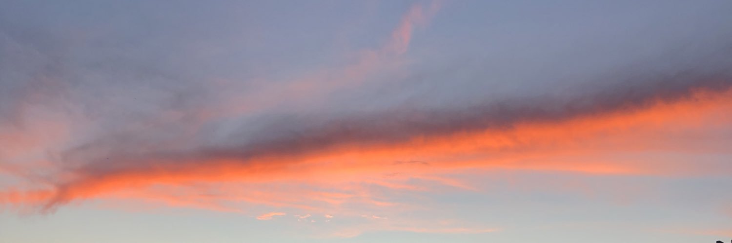 thaís banner