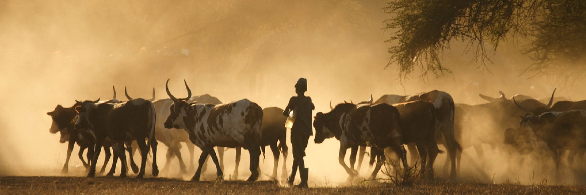 KPWKenya's profile banner image