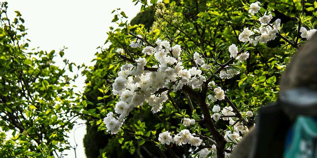 d32001's profile banner image