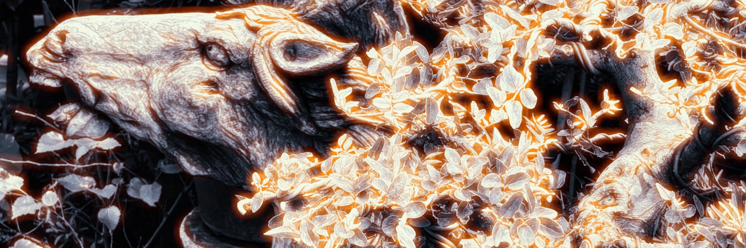 rewmedi's profile banner image